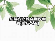 热血传奇英雄版本_英雄合击_新浪游戏_新浪网